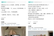 家族乱入闲鱼：LABUBU搜索量环比上涨1000%，供不应求下现租赁新形式