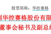 家族乱入华控赛格董事长、董秘、副总经理三高管同日辞职