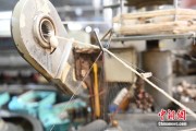 家族乱入小蚕虫变身“产业龙”，广西这座小城如何实现“破茧重生”？