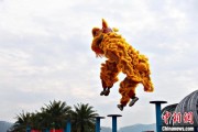 家族乱入（文化中国行）壮乡狮舞闯南洋：脚踏“云桩” 饮誉海内外