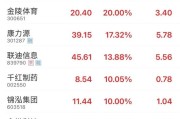 家族乱入“苏超”爆火！300651，“20cm”涨停